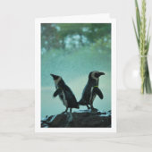 Pinguine auf dem Felsenportrait Karte (Vorderseite)