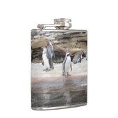 Pinguine auf den Felsen Flachmann (Rechts)