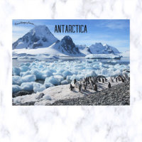 Pinguine auf der Insel Pourquoi Pas Antarktika