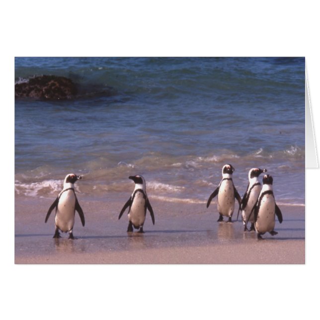 Pinguine auf der Strand Karte (Vorderseite (Horizontal))
