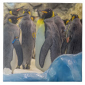 Pinguine auf der Ziegenplatte der Keramik Fliese (Vorderseite)