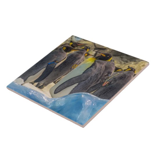 Pinguine auf der Ziegenplatte der Keramik Fliese (Seite)