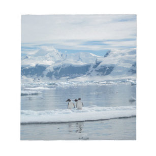 Pinguine auf einem Eisberg Notizblock