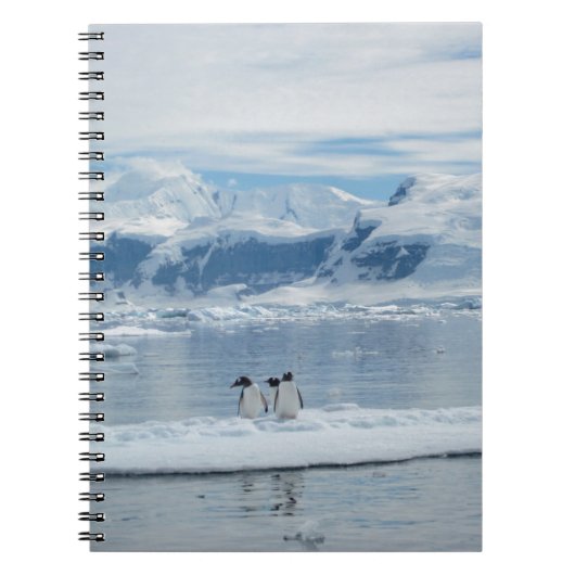 Pinguine auf einem Eisberg Notizblock (Vorderseite)