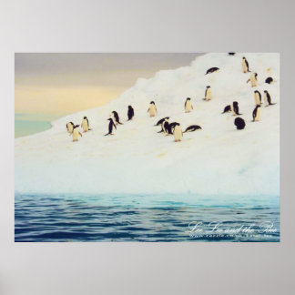Pinguine auf Eis, drucken Poster