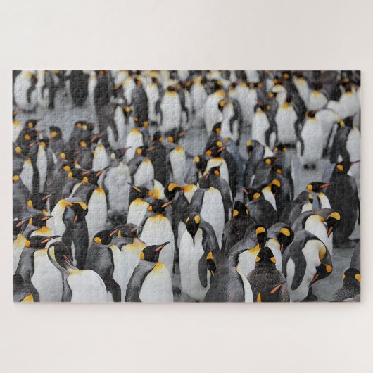 Pinguine auf Eis Puzzle (Horizontal)