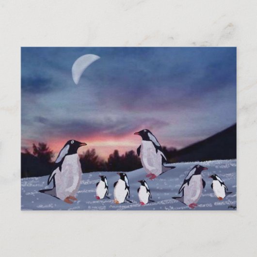 Pinguine auf Eispostkarten Postkarte (Vorderseite)