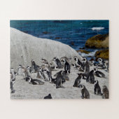 Pinguine auf Flussstein-Bucht Puzzle (Horizontal)