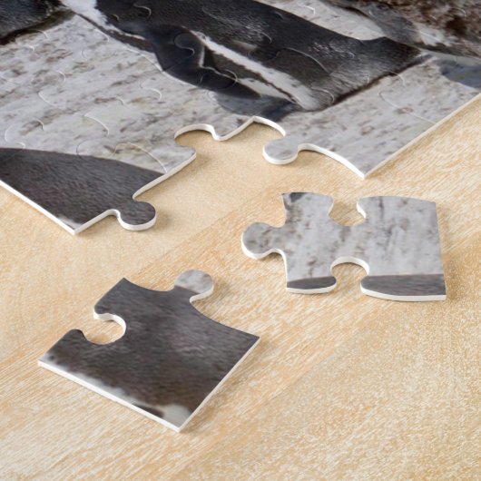 Pinguine auf Flussstein-Bucht Puzzle (Seite)