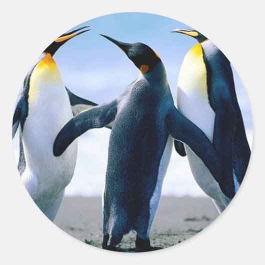 Pinguine aus Alaska Runder Aufkleber (Vorderseite)