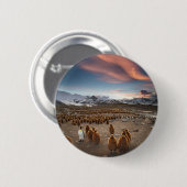 Pinguine bei Sonnenuntergang Button (Vorne & Hinten)
