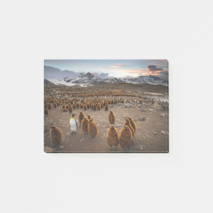 Pinguine bei Sonnenuntergang Post-it Klebezettel