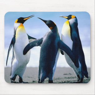 Pinguine: Bunter Pinguin Mousepad oder