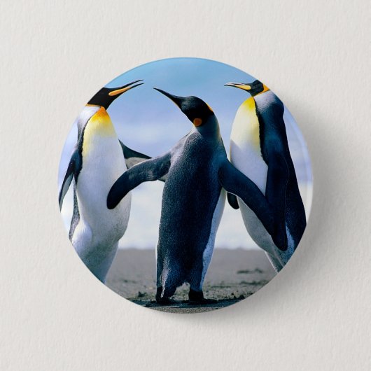 Pinguine Button (Vorderseite)