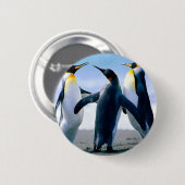 Pinguine Button (Vorne & Hinten)