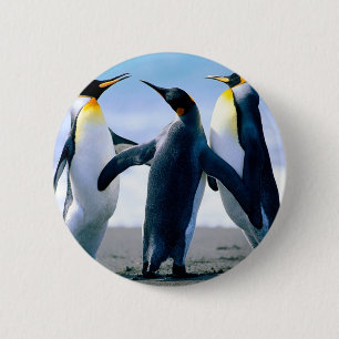 Pinguine Button