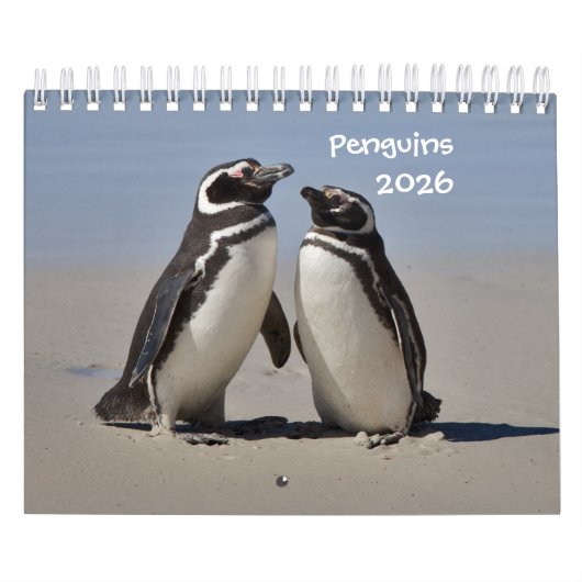 Pinguine Calendar Kalender (Titelbild)
