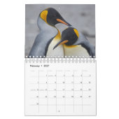 Pinguine Calendar Kalender (Feb 2027)