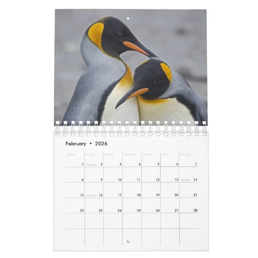Pinguine Calendar Kalender (Feb 2026)