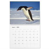 Pinguine Calendar Kalender (Mär 2026)