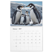 Pinguine Calendar Kalender (Feb 2027)