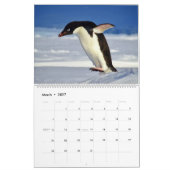 Pinguine Calendar Kalender (Mär 2027)