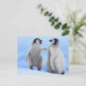 Pinguine Chatting - Postkarte (Stehend Vorderseite)