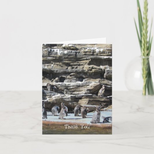 Pinguine Danke (Vorderseite)