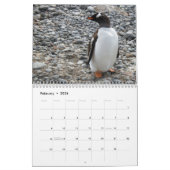 Pinguine der Antarktis Kalender (Feb 2026)