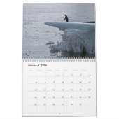 Pinguine der Antarktis Kalender (Jan 2026)