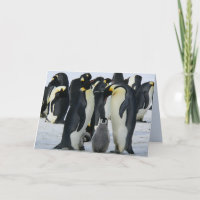 Pinguine der Familie begrüßen Karte