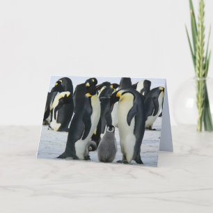 Pinguine der Familie begrüßen Karte
