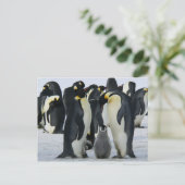 Pinguine der Familie Postkarte (Stehend Vorderseite)