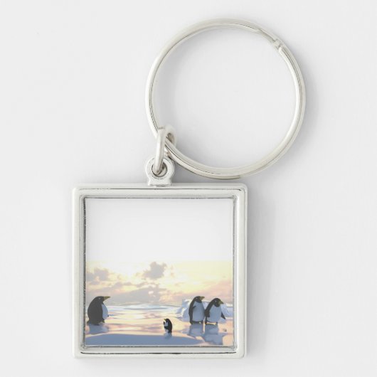 Pinguine, die auf einer Eisscholle abkühlen Schlüsselanhänger (Vorne)