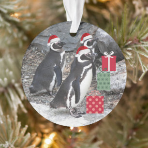Pinguine, die Weihnachtsmannmützen Urlaub machen Ornament