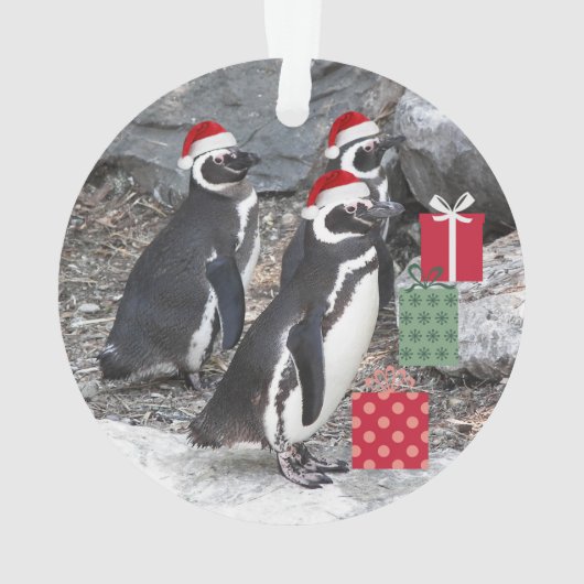 Pinguine, die Weihnachtsmannmützen Urlaub machen Ornament (Rückseite)