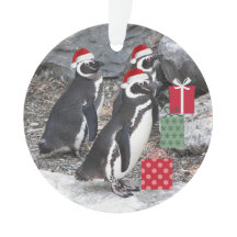 Pinguine, die Weihnachtsmannmützen Urlaub machen