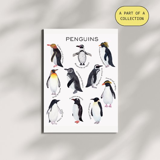 Pinguine Educational Poster