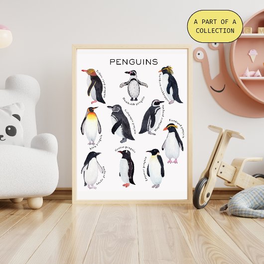 Pinguine Educational Poster