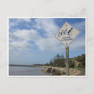 Pinguine ersetzen postkarte