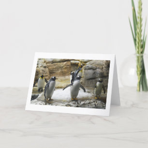 Pinguine Feiertagskarte
