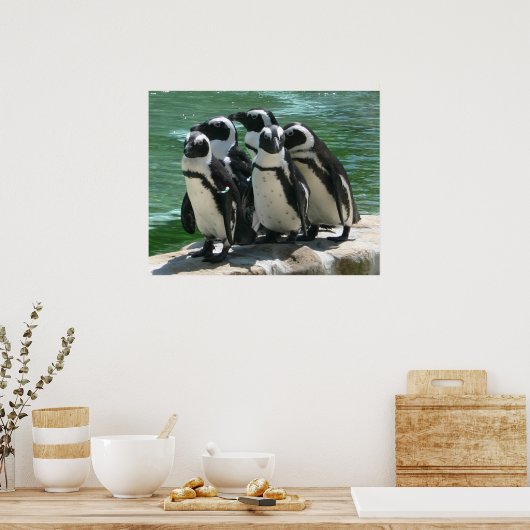 Pinguine Foto Print Poster (Küche)