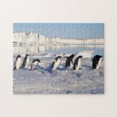 Pinguine Game Puzzle (Horizontal)