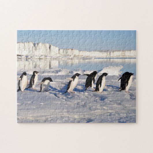 Pinguine Game Puzzle (Horizontal)