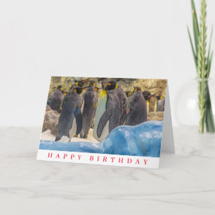 Pinguine im Zoo Geburtstagskarte Karte