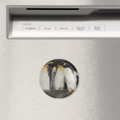 Pinguine im Zoo Magnet (In Situ (Geschirrspüler))