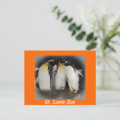 Pinguine im Zoo Postkarte (Stehend Vorderseite)