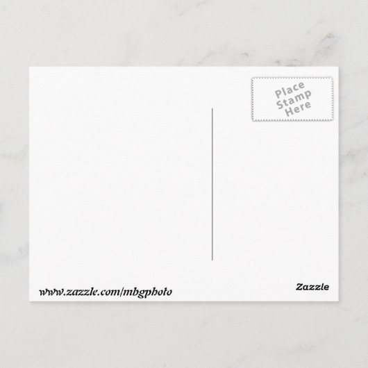 Pinguine im Zoo Postkarte (Rückseite)