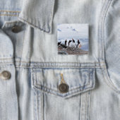 Pinguine in der Antarktis Button (Beispiel)