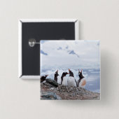 Pinguine in der Antarktis Button (Vorne & Hinten)